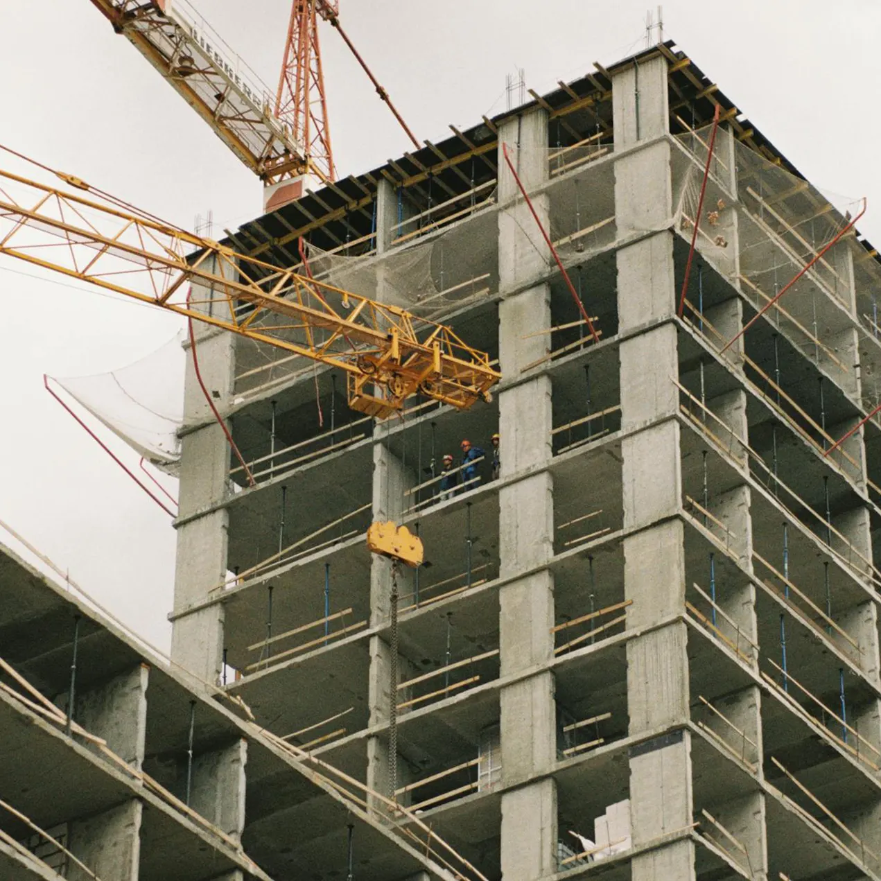Development